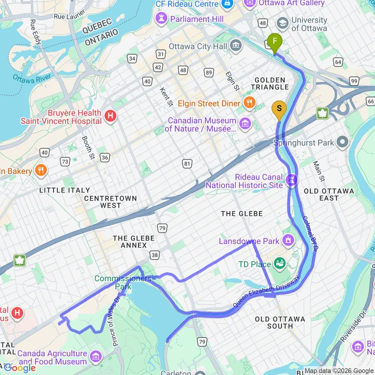 Map of rode to the plant thing and got myself some succulents 